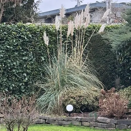 Garten-hotel Ponick 3* Cologne