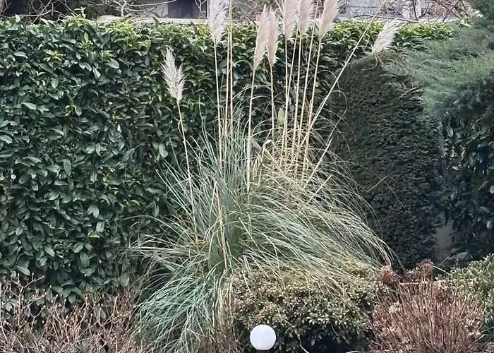 Garten-hotel Ponick 3* Cologne