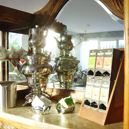 Garten-hotel Ponick Hotel