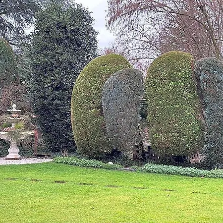 Garten-hotel Ponick