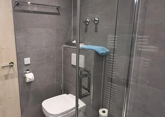 酒店 伯尼花园酒店 科隆