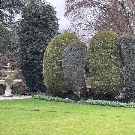 Garten-hotel Ponick Отель 3*